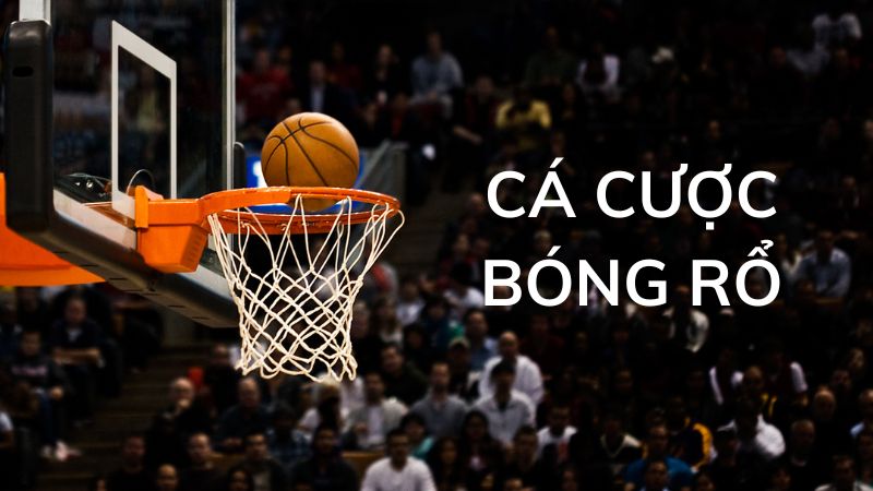 Kèo Tài Xỉu Bóng Rổ: Dễ Kiếm Tiền Hay Không?